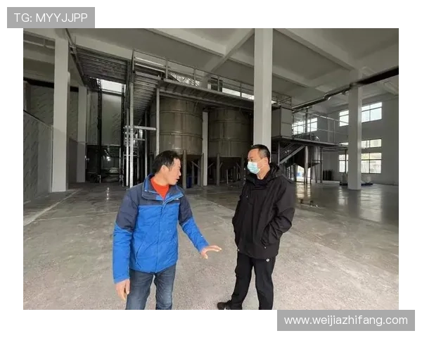 凯发集团简介资料：全面了解企业发展历程与核心业务