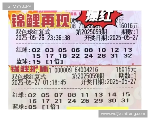 竞猜型彩票中奖概率提升的实用技巧与常见误区，帮助玩家理性投注赢取更多奖金